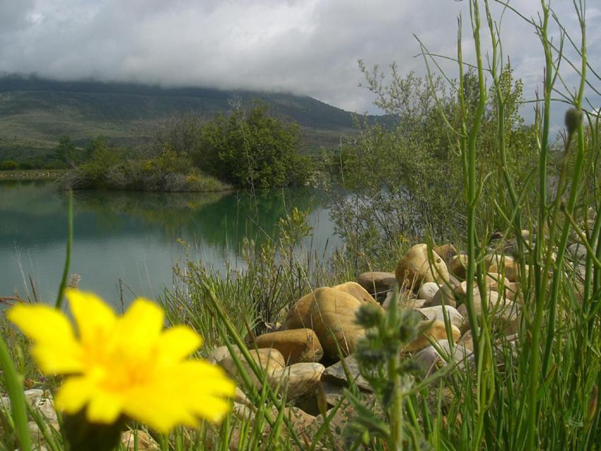 Al Viento, Alojamiento & Turismo Rural Pradena Del Rincon Dış mekan fotoğraf