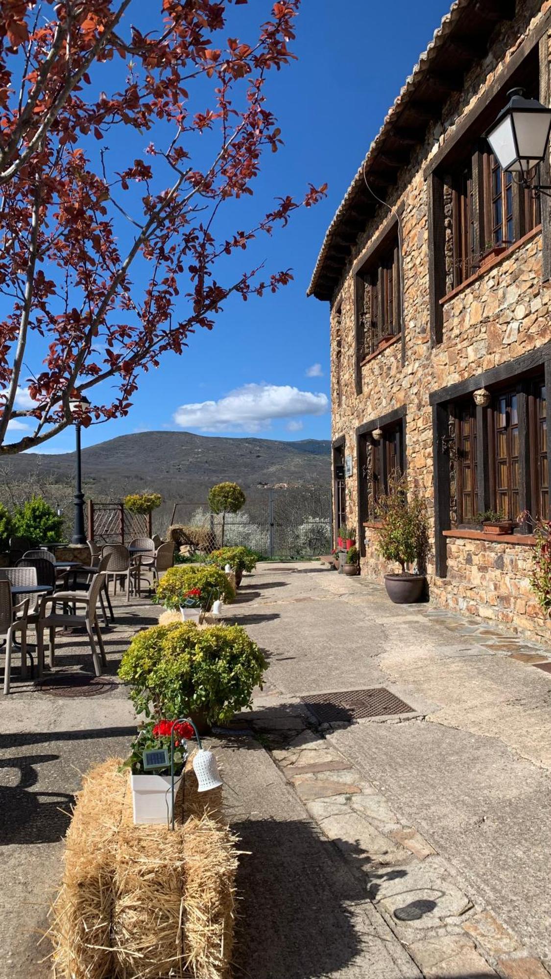 Al Viento, Alojamiento & Turismo Rural Pradena Del Rincon Dış mekan fotoğraf