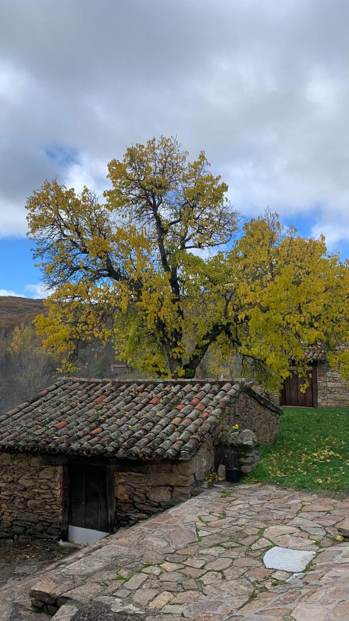 Al Viento, Alojamiento & Turismo Rural Pradena Del Rincon Dış mekan fotoğraf