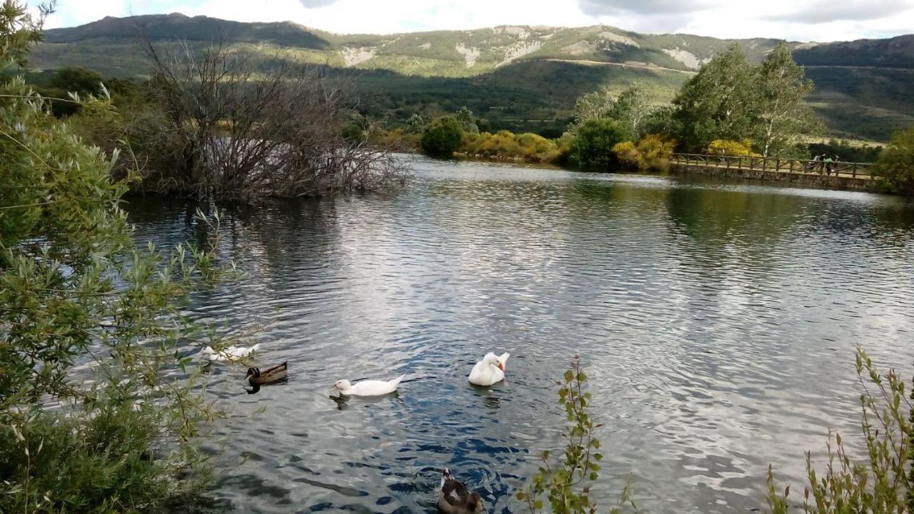 Al Viento, Alojamiento & Turismo Rural Pradena Del Rincon Dış mekan fotoğraf