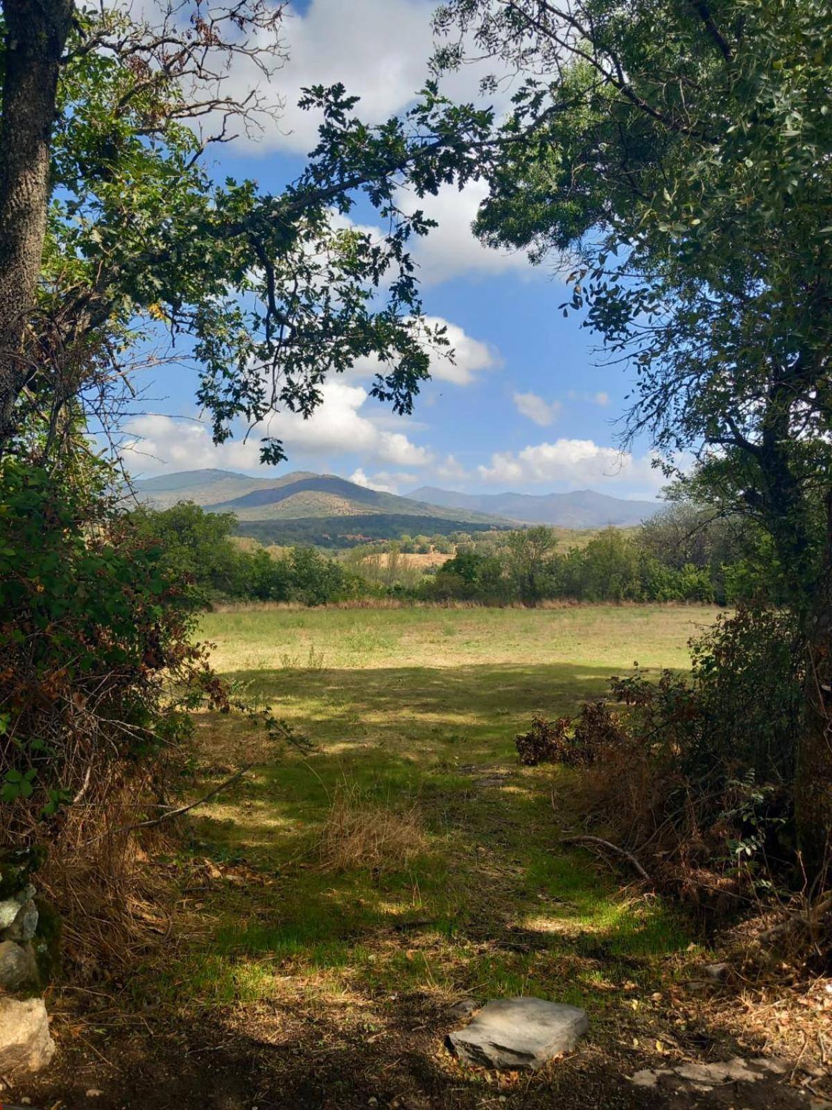 Al Viento, Alojamiento & Turismo Rural Pradena Del Rincon Dış mekan fotoğraf