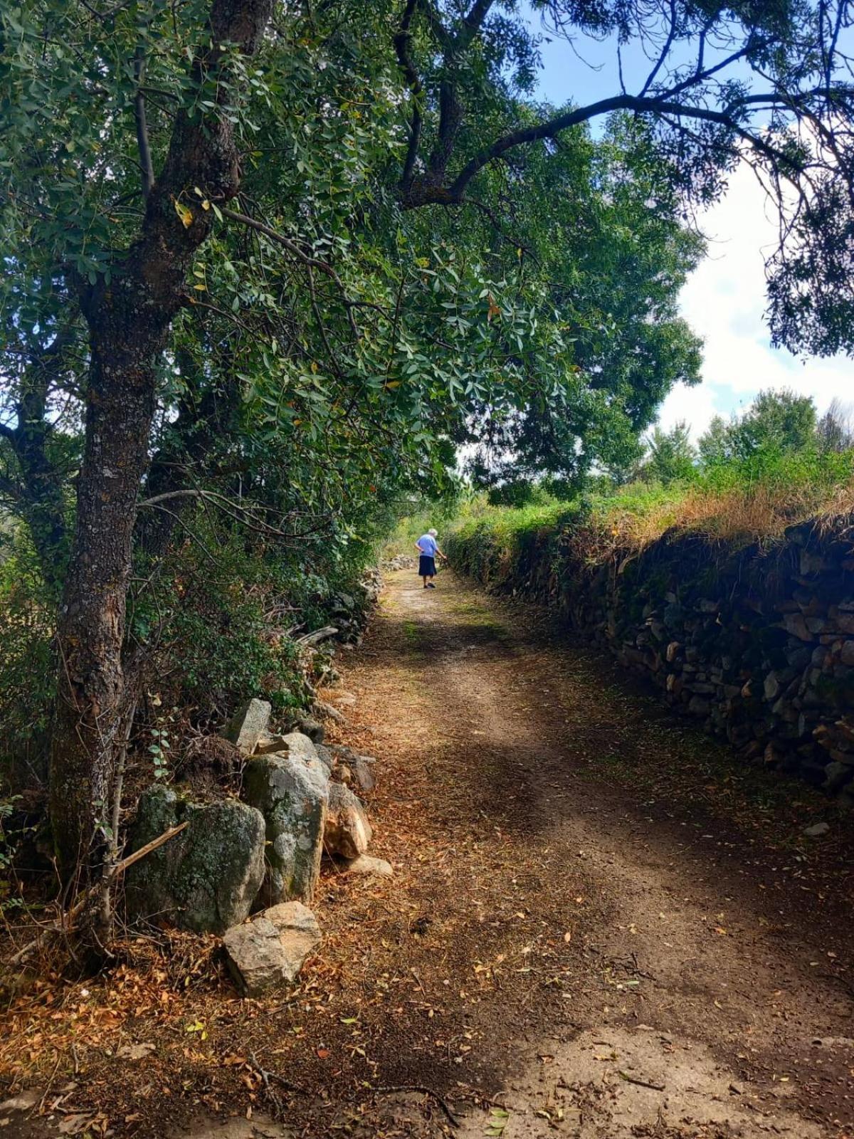Al Viento, Alojamiento & Turismo Rural Pradena Del Rincon Dış mekan fotoğraf
