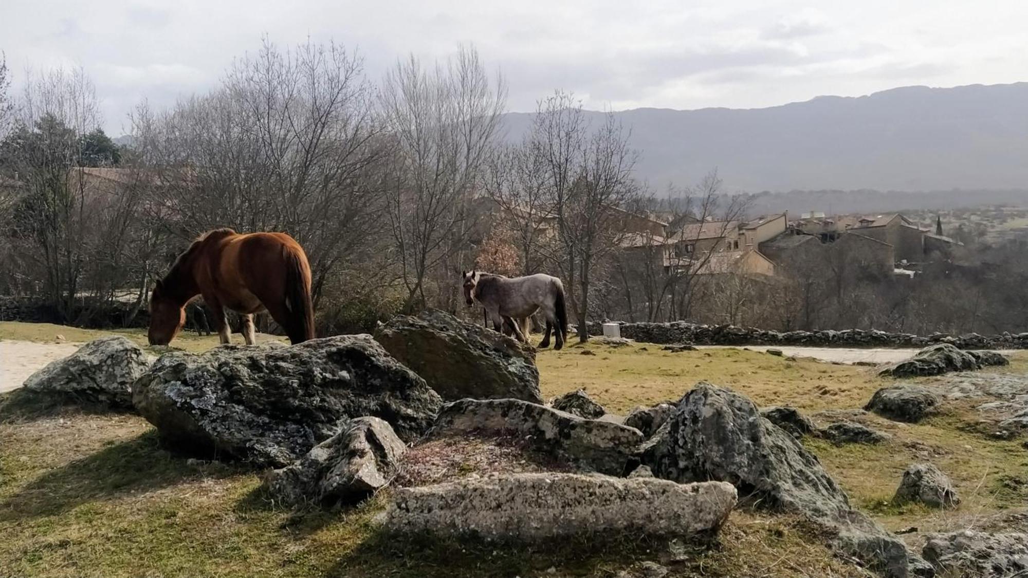 Al Viento, Alojamiento & Turismo Rural Pradena Del Rincon Dış mekan fotoğraf