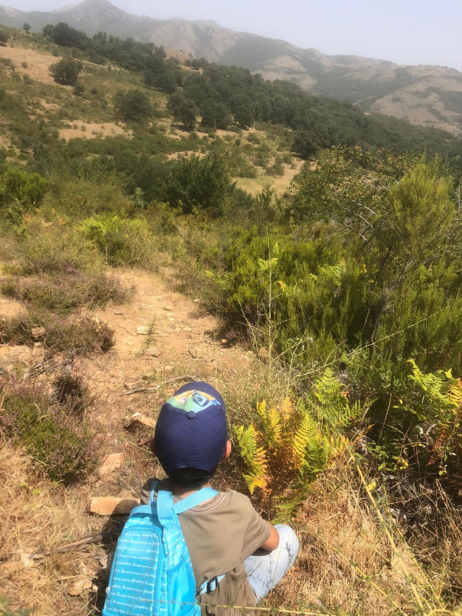 Al Viento, Alojamiento & Turismo Rural Pradena Del Rincon Dış mekan fotoğraf