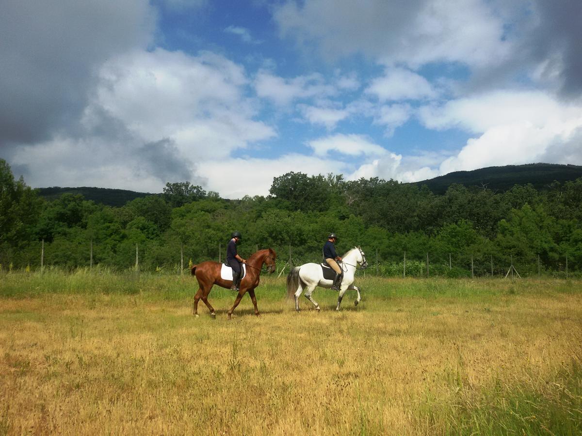 Al Viento, Alojamiento & Turismo Rural Pradena Del Rincon Dış mekan fotoğraf