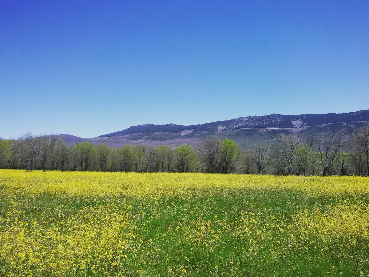 Al Viento, Alojamiento & Turismo Rural Pradena Del Rincon Dış mekan fotoğraf