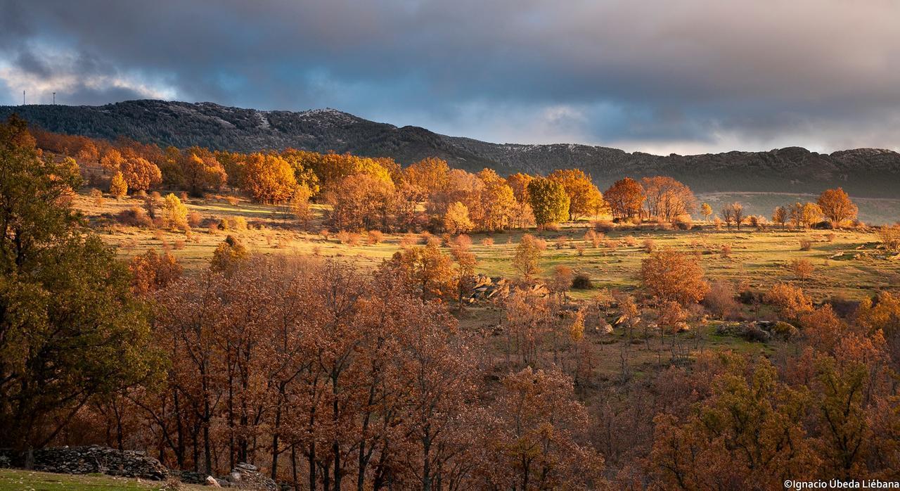 Al Viento, Alojamiento & Turismo Rural Pradena Del Rincon Dış mekan fotoğraf